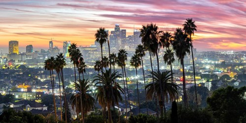 Los Angeles skyline with palm trees and downtown at sunset panorama in California in Los Angeles,