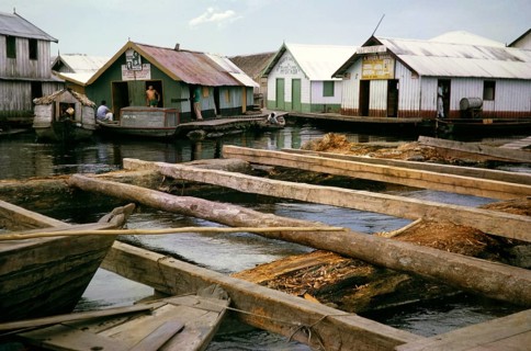 Logs used as building foundations for the informal housing estate known as Floating City, Manaus,