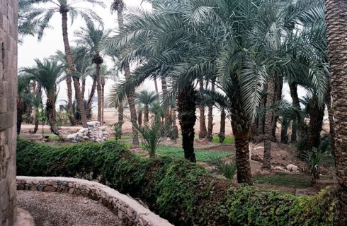 Palm trees and farmland in a small irrigated oasis in Aqaba, Jordan, 1998, Asia