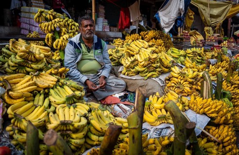 Vendor sell bananas at a market, waiting for customers on the day of the presentation of Union