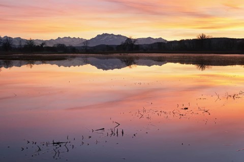 Pilatus reflected in the flooded nature reserve in the evening light, Reussspitz, Hünenberg, Canton