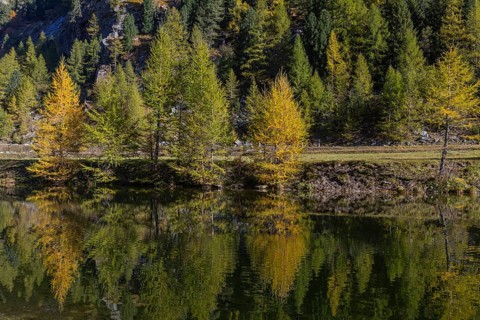 Little pond of the Malta river with a mountain forest in fall foliage on a bright sunny morning.