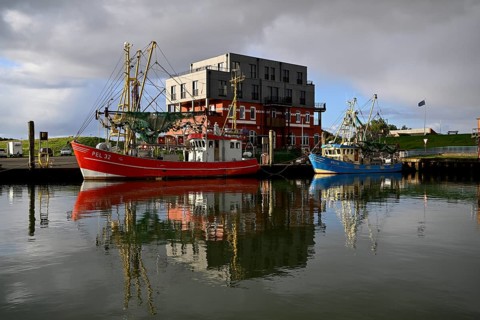 Fishing boats in the harbour of Tammensiel, Pellworm Island, Schleswig-Holstein Wadden Sea National