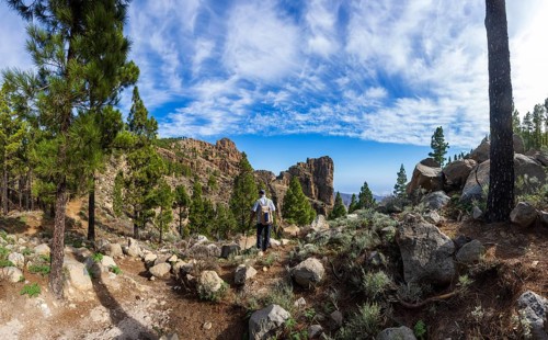 Hiker in the pine forest with view to the summit of Pico de las Nieves, Gran Canaria, Canary