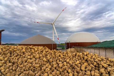 Biogas plant produces gas from various biomass, here the sugar beet storage, the electricity is