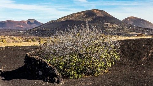 2016, La Geria, Lanzarote, La Geria, ESP, Spain, Canary Islands, Canary Islands, Atlantic Ocean,