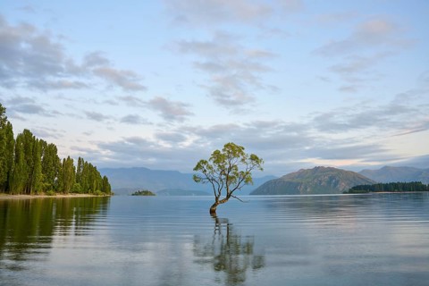 A peaceful lake with a tree and a mountain range in the background, summer, Lake Wanaka, Wanaka,
