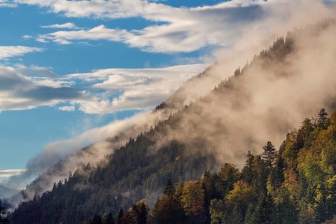 Isar valley nature conservancy area. The wild Isar river flows through its gravel bed past