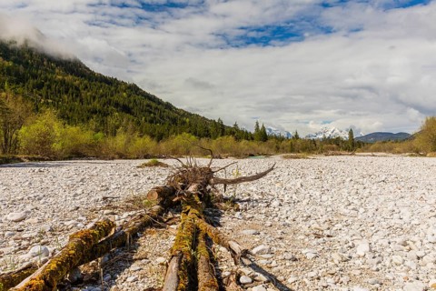 Isar valley nature conservancy area. The wild Isar river flows through its gravel bed past