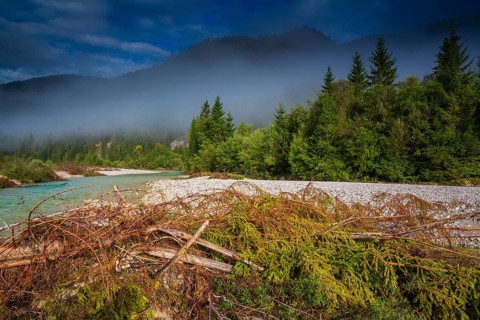 Isar valley nature conservancy area. The wild Isar river flows through its gravel bed past