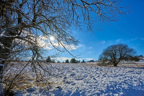 Sun shining through the bare branches over a snow-covered landscape, winter, Oberelsbach, Lange