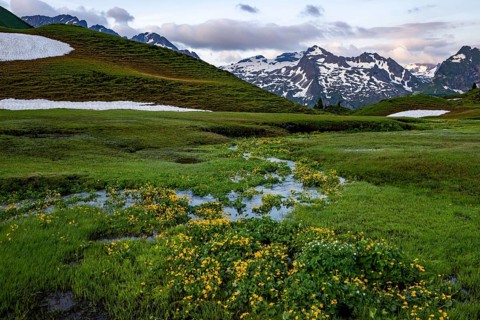 Summit in the morning light with dramatic clouds and marsh marigolds (Caltha) with stream in the