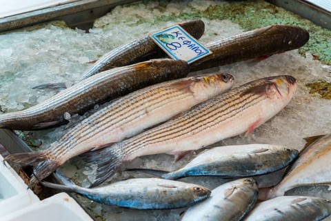 Various fish on ice, with price tags, presented at a market, mullet, market, Nafplio, Nafplio,