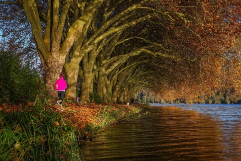 Essen, North Rhine-Westphalia, Germany - Young woman jogging on the lakeshore under trees with