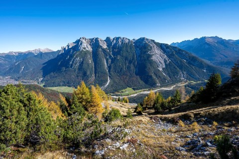 Autumnal mountain forest, yellow-coloured larches, ascent to the Große Arnspitze, view of mountain