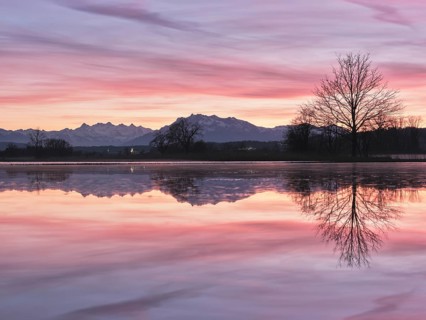 Pilatus reflected in the flooded nature reserve in the evening light, Reussspitz, Hünenberg, Canton