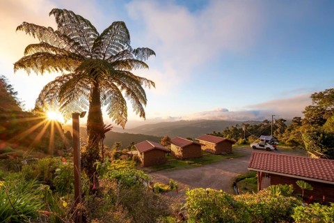 Cabins of a lodge in the cloud forest, in the evening light, Paraiso Quetzal Lodge, view over