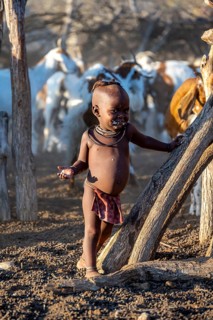Young Himba child smiling, goats fenced in the kraal, in the morning light, traditional Himba