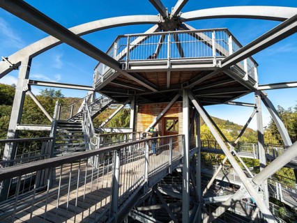 Baumwipfelpfad, Treetop walkway through a forest in autumn, Bad Harzburg, Harz mountain range,