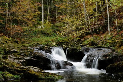 Forest landscape with a small waterfall and autumn foliage, Buchberger Leite, Bavarian Forest