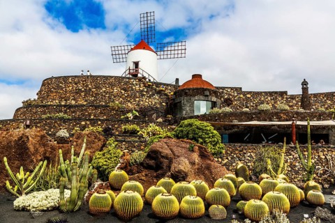 2016, Guatiza, Lanzarote, Jardin de Cactus by Cesar Manrique, ESP, Spain, Canary Islands, Canary