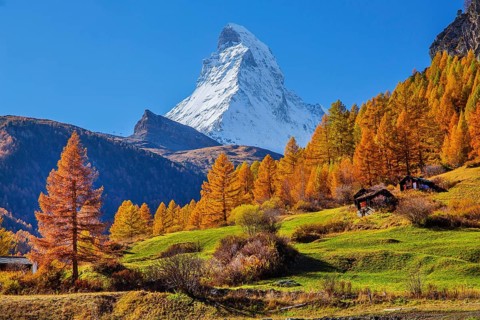 Matterhorn 4478m with golden yellow larches in autumn, Zermatt, Mattertal, Valais, Switzerland,