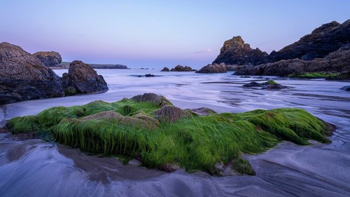 Rocks in Kynance Cove. Evening, blue hour. Long exposure. Kynance Cove, Lizard Peninsula, Cornwall,