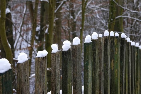 Wooden fence with snow cap, winter, Germany, Europe