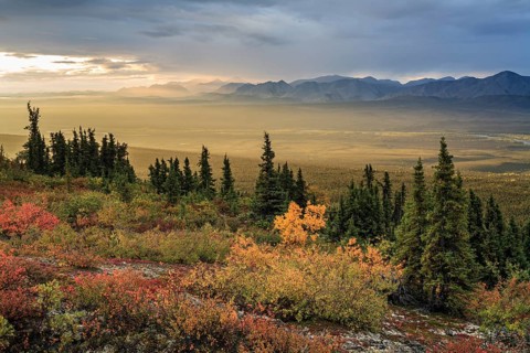 Morning light, cloudy mood, fog, autumnal tundra, autumn colours, wilderness, mountain landscape,