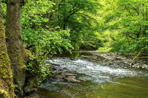 The Eltzbach stream in the Elz valley near Wierschem, Rhineland-Palatinate, Germany, Europe