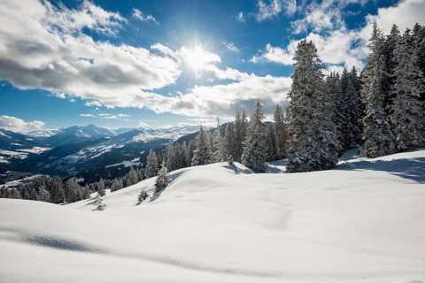 Snow-covered winter landscape, above Flims and Laax, view of the Vorderrheintal, Canton of