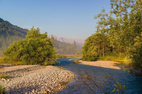 Isar valley nature conservancy area. The wild Isar river flows through its gravel bed past