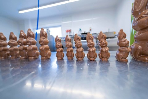 Many chocolate bunnies in a row on a metal table in the kitchen, Easter baking and chocolate icing