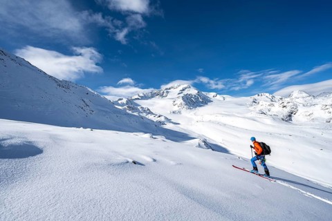 Ski tourers in a snow-covered mountain landscape, mountain peak Monte Cevedale and glacier