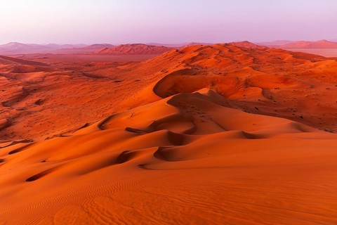 Wind-sculpted, curved, sand dunes in the Rub al Khali desert, Dhofar province, Arabian Peninsula,