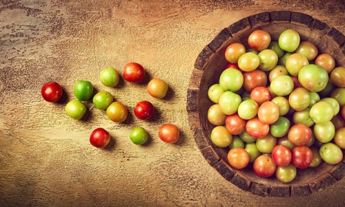 Cherry plum tkemali, fruit, plum variety, in a wooden plate, Georgian cuisine, top view, no people