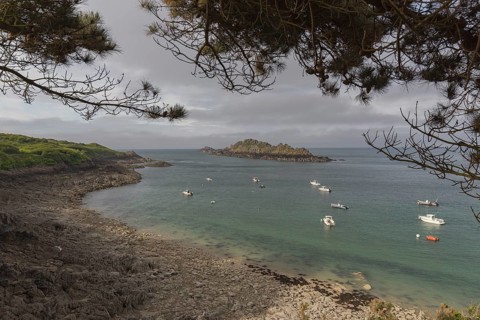 Beach with anchored motor boats, framed with the twigs of a pine tree. Looking at the sea and the
