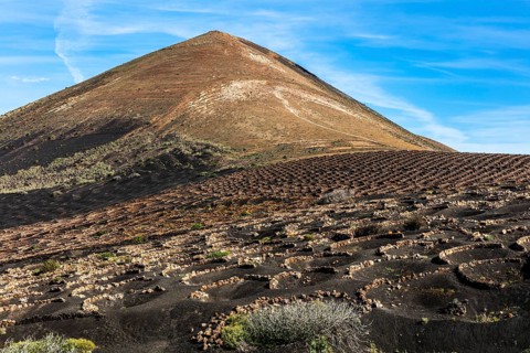 La Geria wine-growing region and work of art, UNESCO World Heritage Site, Lanzarote, Canary