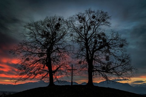 Dawn, mood, gloomy, trees, cross, Christian, mistletoe, mountain landscape, winter, view of