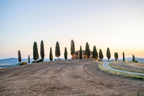 Tuscany landscape with cypresses and farmstead at sunrise, dawn, 'Podere Cipressini', San Quirico