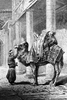 Loaded camel in Smyrna or Izmir, street, building with portico, camel driver, load, side view,