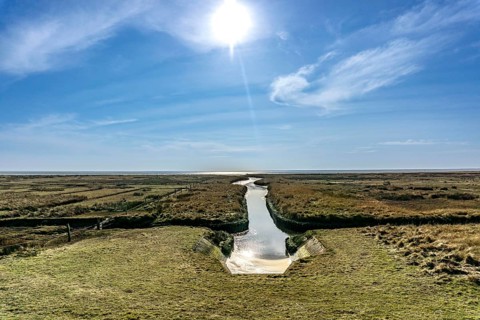 The East Frisian North Sea island of Juist in winter, marsh meadows in the west of the island,