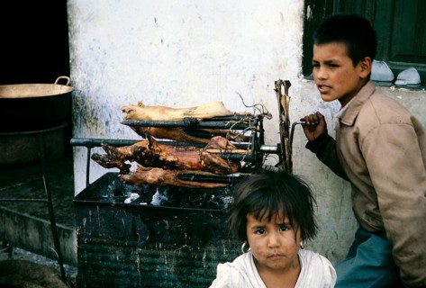 Children roasting guinea pigs on a spit at the market in Ambato, Ecuador, South America, 1962,