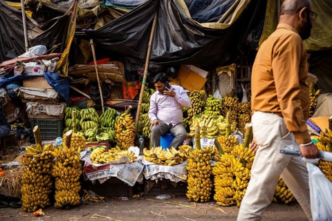 Vendor sell bananas at a market, waiting for customers on the day of the presentation of Union