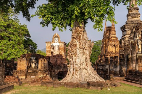 Buddha statues in the central Buddhist temple Wat Mahathat, UNESCO World Heritage Sukhothai