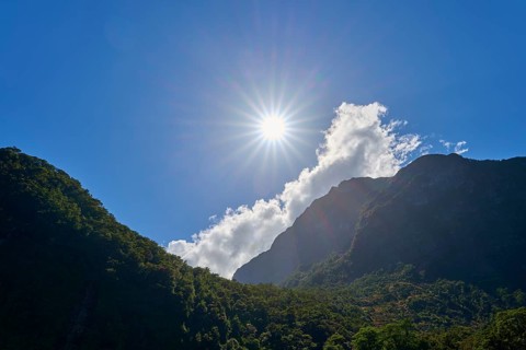 Bright sun over forested mountains, clouds drift lazily across the blue sky, summer, Milford Sound,