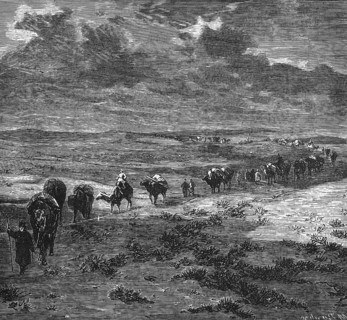 Camel caravan in the vast Mongolian steppe, Gobi desert, vegetation, rider, luggage, loads,
