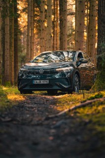 Black car in the forest at sunset, quiet autumn atmosphere, car sharing vehicle Deer Mobility,