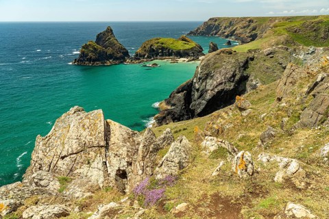 The coast at Kynance Cove, Cornwall, England, Great Britain