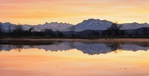 Pilatus reflected in the flooded nature reserve in the evening light, Reussspitz, Hünenberg, Canton
